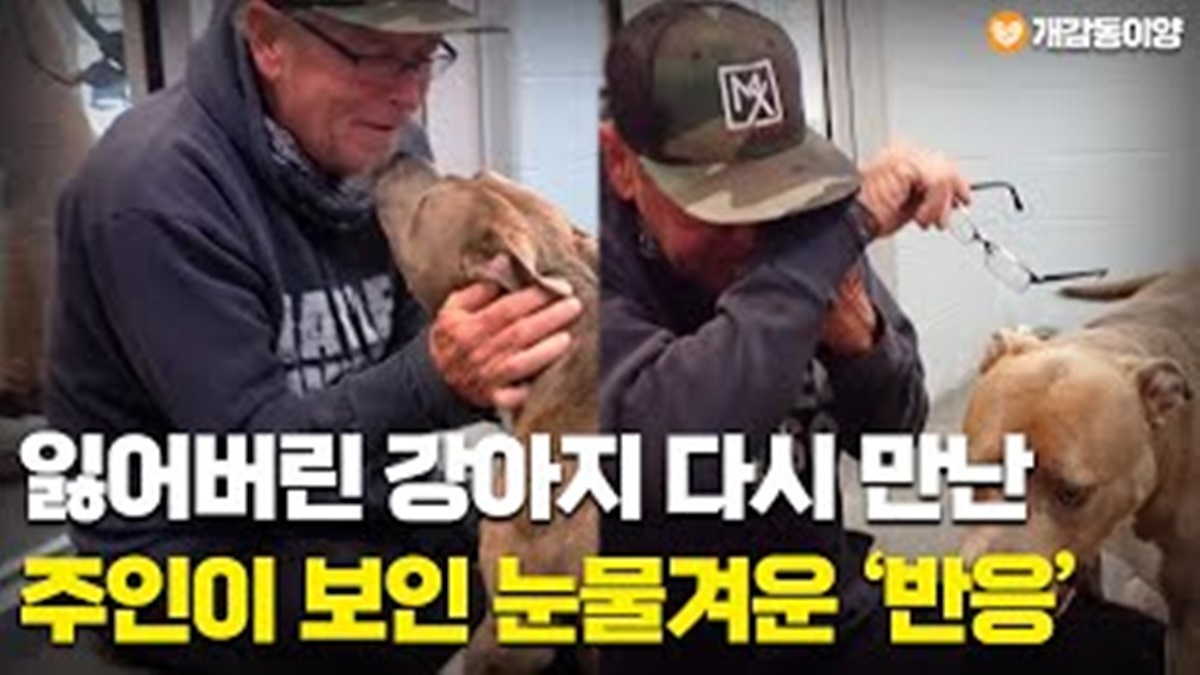 잃어버린 강아지와 다시 만난 주인이 보인 ‘반응’