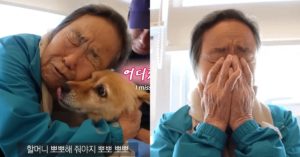 SBS 동물농장 제작진 결국 80대 할머님 울게 만들었던 ‘코 끝 찡한 사연’ (사진, 움짤)