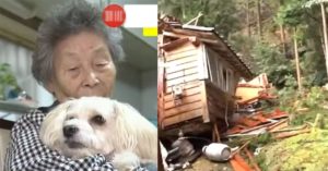지진 폐허 속 66시간만에 구출된 강아지.. 목숨을 구해준 “결정적인 한 순간”