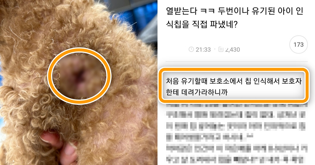 실시간 국내 여론 모두 분노하게 만든 ‘역대급 악마 견주’ 강아지 유기 사건 (상황)