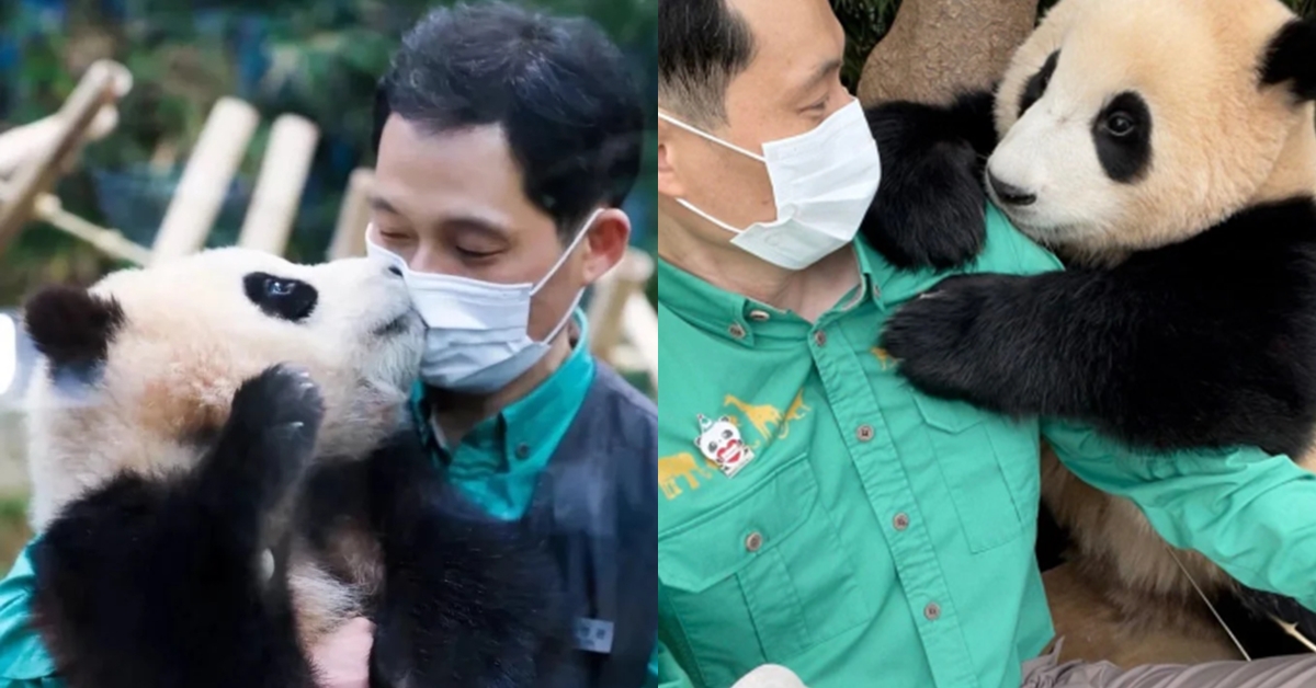 [공식] 송바오 “나중에 푸바오 보러 중국 갈 건가요?” 질문에 솔직히 털어놓은 심정 (인터뷰)