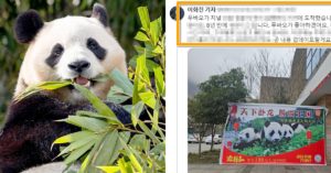 “푸바오 새 동물원은..” 10년 경력 KBS 기자가 마침내 정확한 위치 밝혀냈다 (이름, 가는 방법)